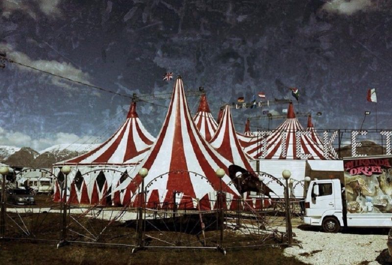 Famiglia inDifesa e Circo Orfei insieme: raccolta fondi per terremotati del Centro Italia