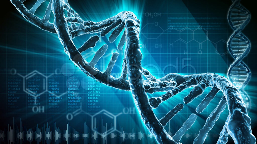 Diagnosi prenatale per le anomalie cromosomiche con NIPT