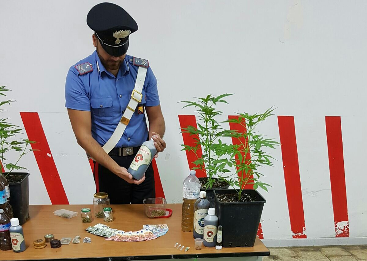Sorpresi con piante di cannabis in casa: arrestati due giovani di Modica Sorpresi con piante di cannabis in casa: arrestati due giovani di Modica