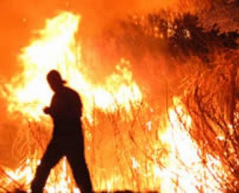 Bruciano sterpaglie nel loro terreno e provocano incendio incontrollato: 3 denunciati