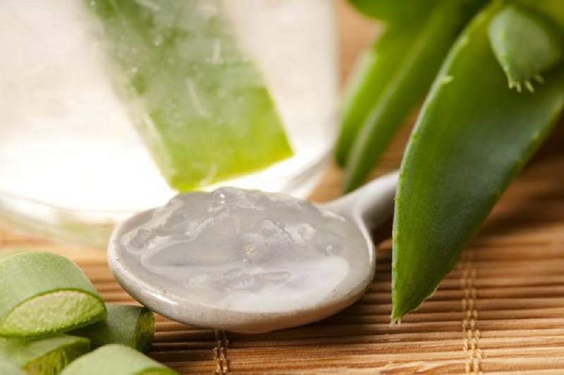 Creme e gel all’Aloe Vera? Occhio alla truffa della grande distribuzione