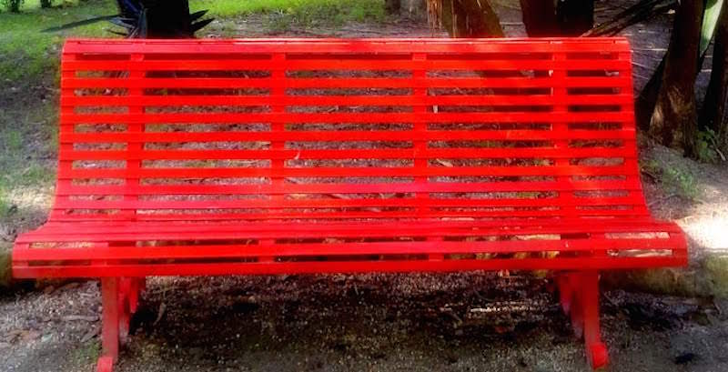 Panchine rosse a San Gregorio: “Simbolo del posto occupato dalle vittime di femminicidio”