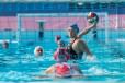 Il Cosenza si inchina 11-6 alla Waterpolo Despar Messina. Domani derby con Ekipe Orizzonte Ct