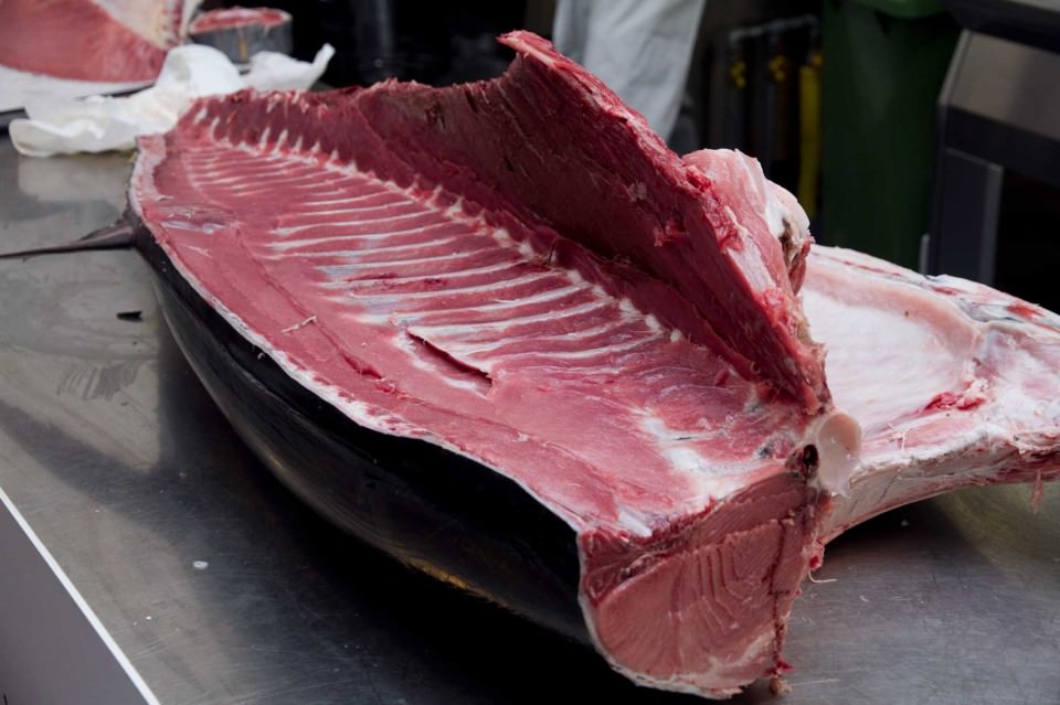 Tonnellate di tonno rosso in cattivo stato di conservazione: scatta il maxi sequestro