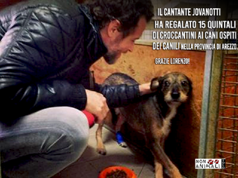 Jovanotti dona 15 quintali di crocchette ad un canile: gesto nobile per i cuccioli