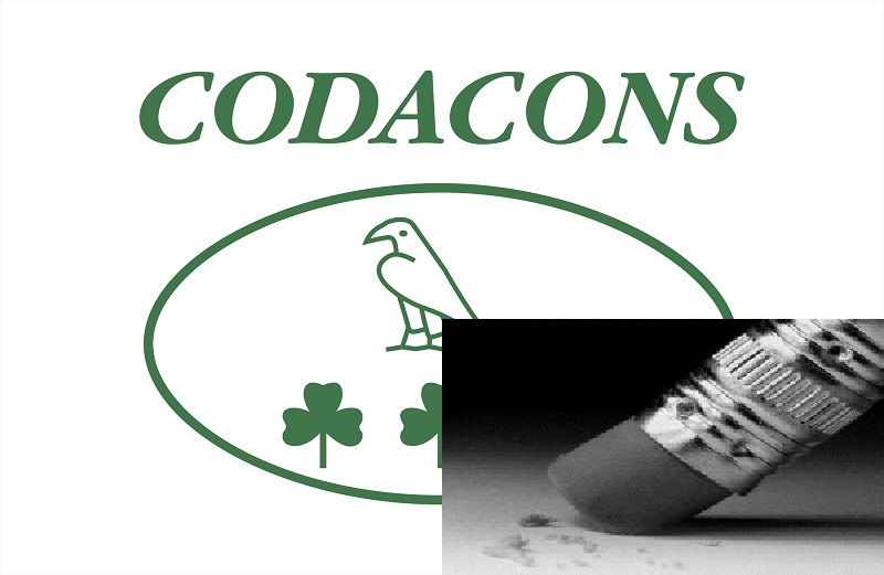 Referendum, matite cancellabili: Codacons chiede intervento della magistratura