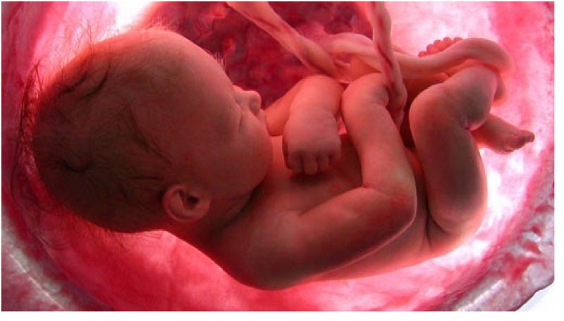 Infermiera incinta uccisa da una coppia per “rubarle” il bambino che portava in grembo: soffocata e squartata – LA STORIA