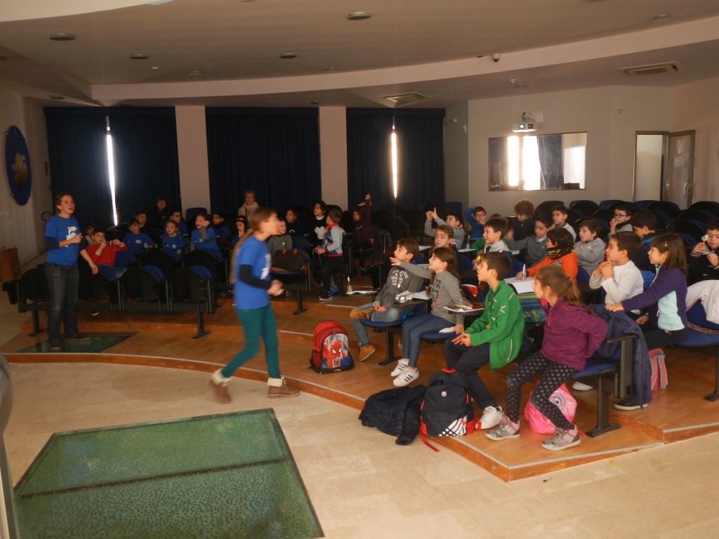 Siracusa, al via il progetto “Delfini guardiani”