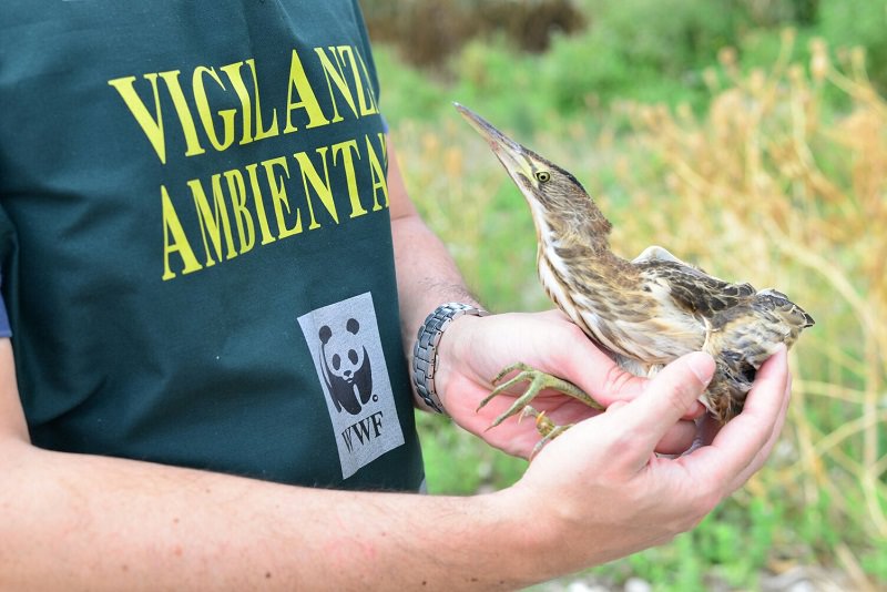 WWF, video-denuncia all’ex Provincia di Caltanissetta