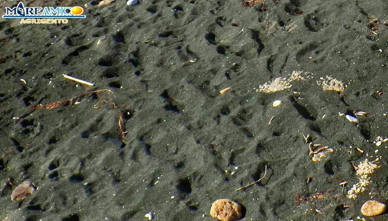 Ladri in azione in spiaggia: portati via tre portafogli per un valore di 200 euro