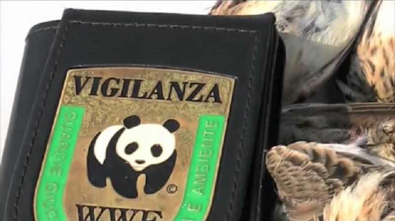 Caltanissetta: WWF parte civile in processo contro cacciatori