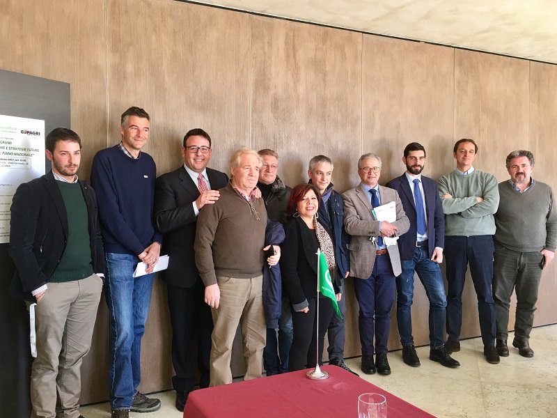Agrumi, convegno nazionale il 24 a Catania