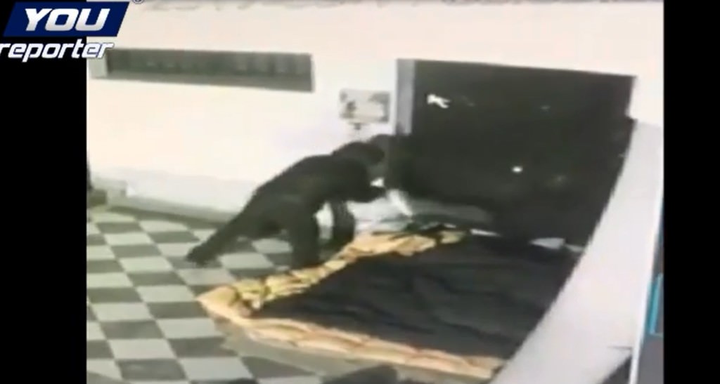 Caccia all’uomo: liquido infiammabile sul clochard. Ore contate grazie al VIDEO