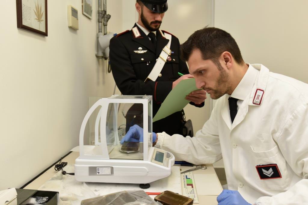 Palermo, 74 piante di marijuana nascoste in casa Palermo, 74 piante di marijuana nascoste in casa