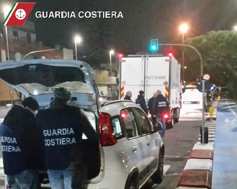 Controlli della Guardia Costiera, sequestrati a Catania 200 kg di pesce “avariato” Controlli della Guardia Costiera, sequestrati a Catania 200 kg di pesce “avariato”