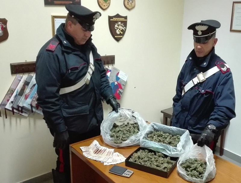 Arrestati due palermitani per spaccio: possedevano anche una piantagione indoor Arrestati due palermitani per spaccio: possedevano anche una piantagione indoor