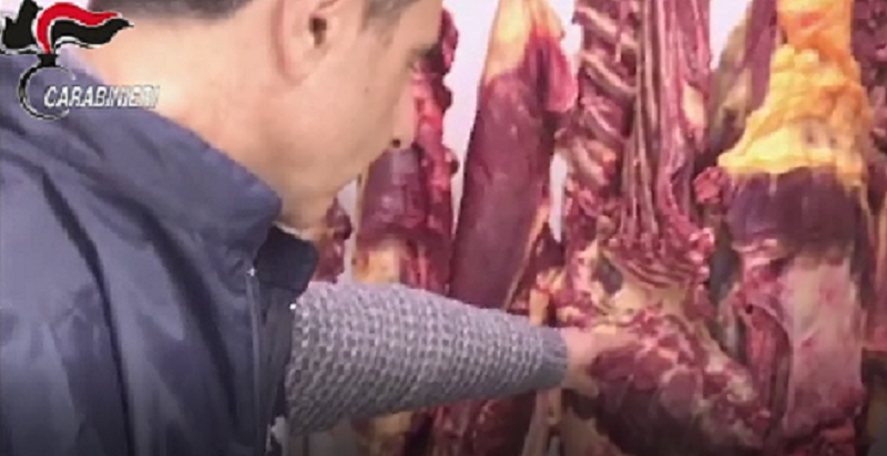 Rosolini, sequestrato macello abusivo di carne equina. IL VIDEO