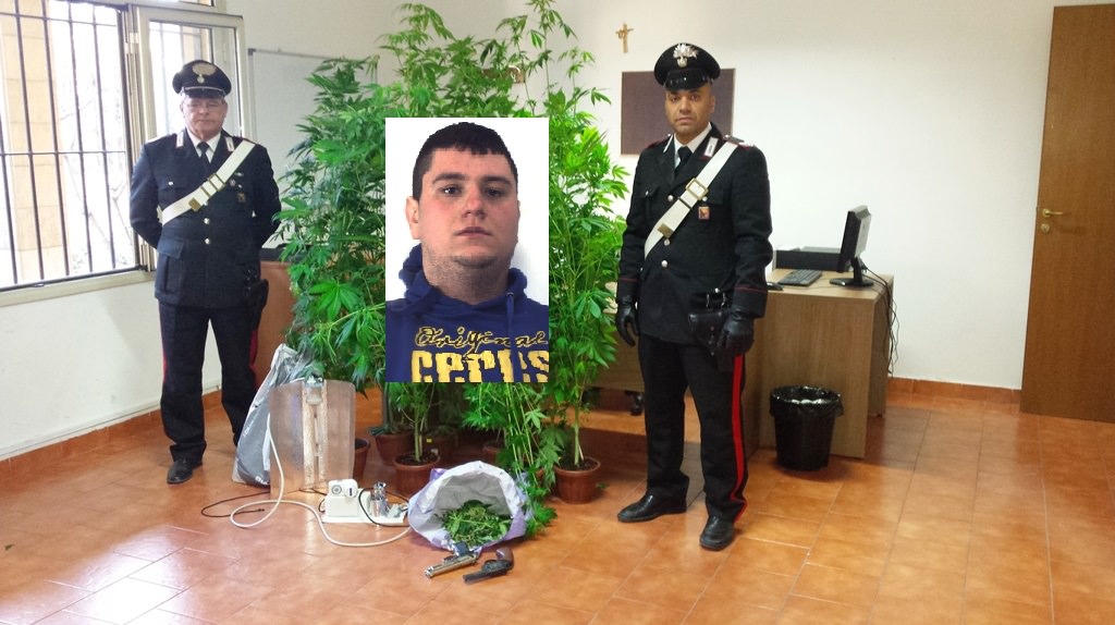 Un appartamento trasformato in una coltivazione di marijuana con tanto di allaccio abusivo all’Enel. Arrestato Un appartamento trasformato in una coltivazione di marijuana con tanto di allaccio abusivo all’Enel. Arrestato