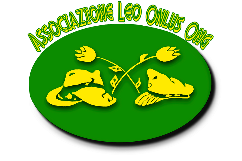 “Leo Onlus Ong”: l’associazione no-profit che mira al benessere del singolo