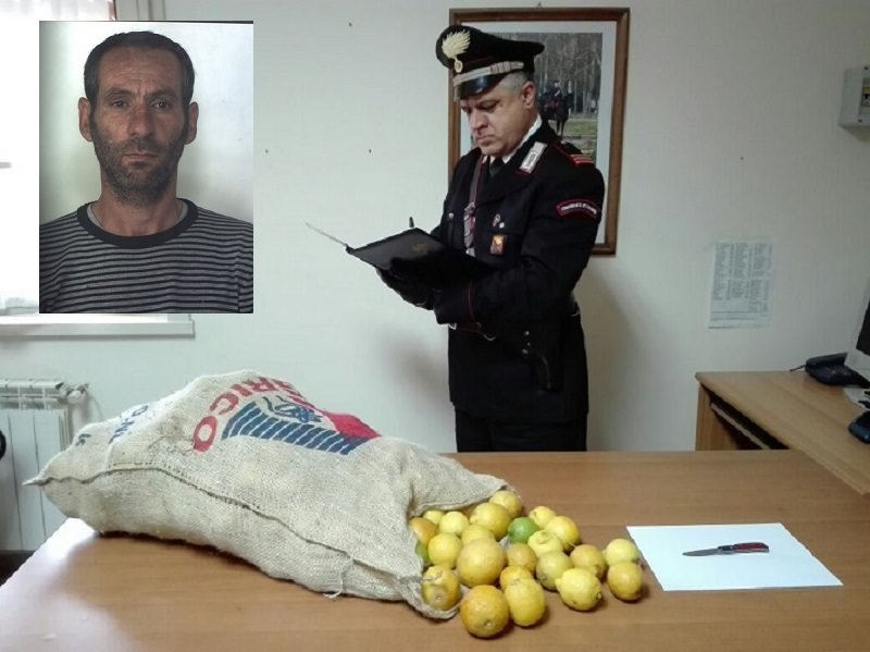 Succede a Siracusa e provincia: domenica 7 maggio POMERIGGIO