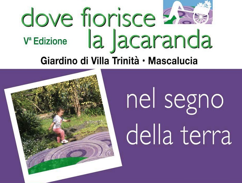 Mascalucia, torna “Dove fiorisce la Jacaranda”: l’evento più verde dell’anno