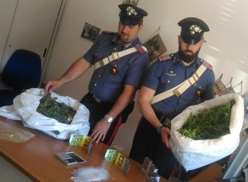Agrigento, arrestato pensionato con 55 piante di marijuana