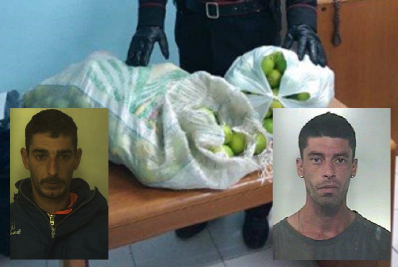 Succede a Siracusa e provincia: martedì 9 maggio POMERIGGIO