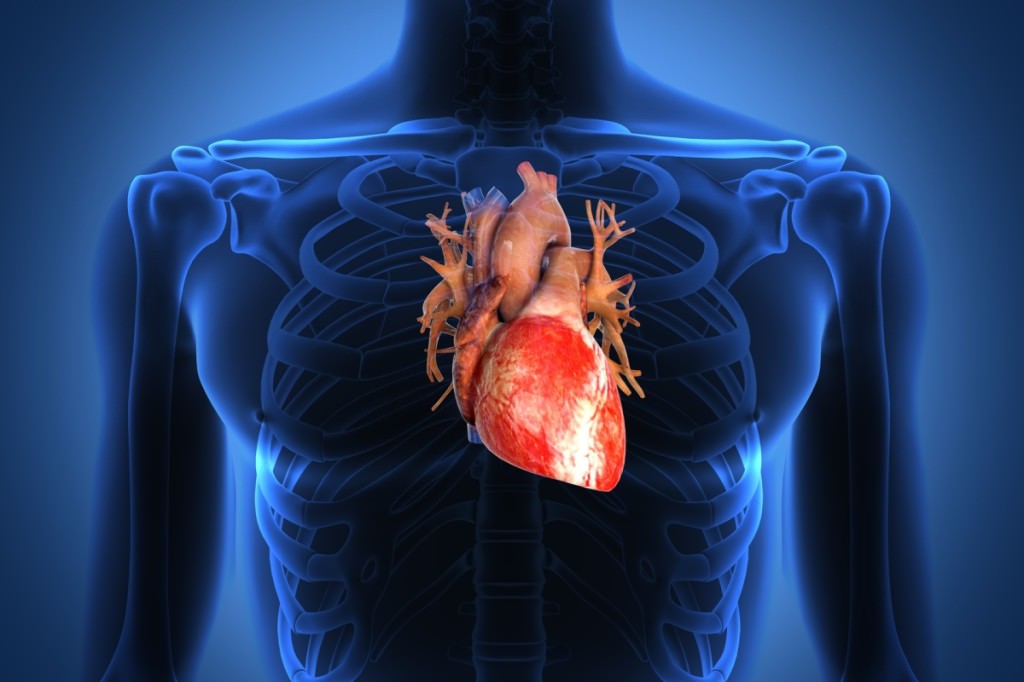 Sperimentato sui maiali il primo pacemaker “sostenibile”: si ricarica con il battito cardiaco