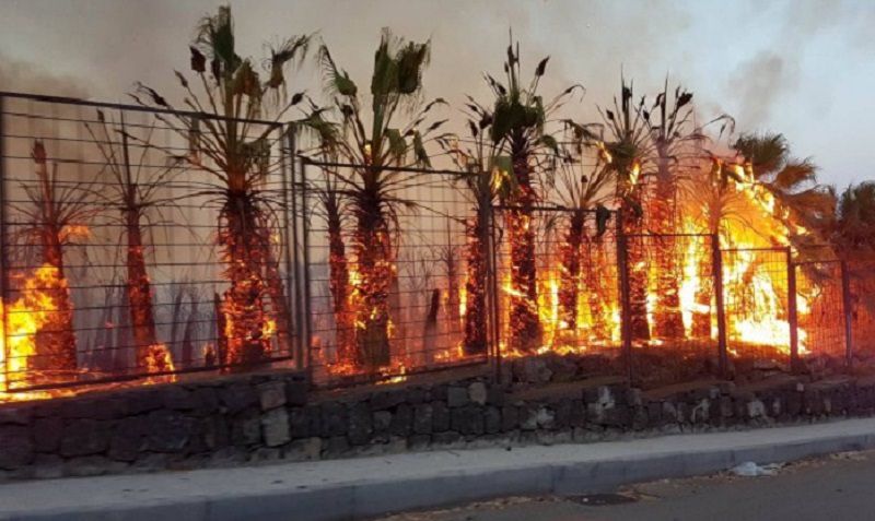 Paura a Vampolieri, vasto incendio “divora” la collina. Residenti in strada: minacciata una abitazione