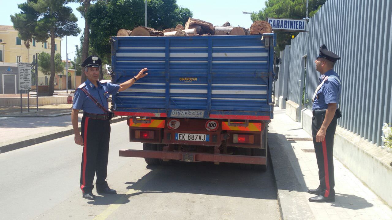 Oltre 5 tonnellate di legno pregiato, pronti alla fuga con due camion: 4 arresti