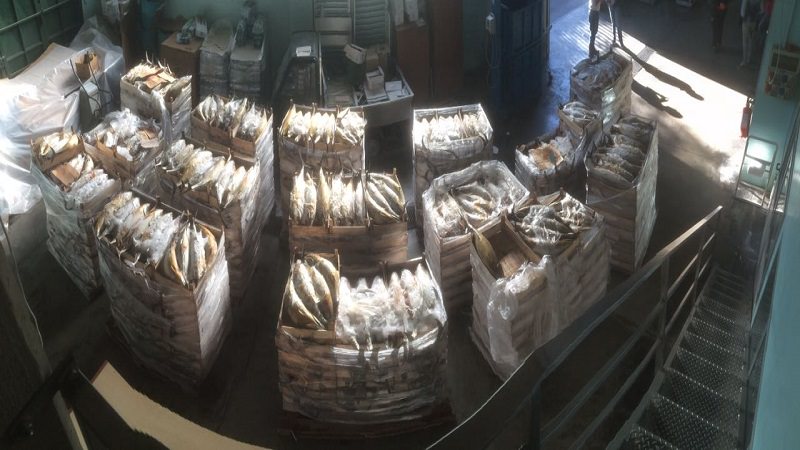 Pesce congelato privo di tracciabilità: sequestrati 18mila chili