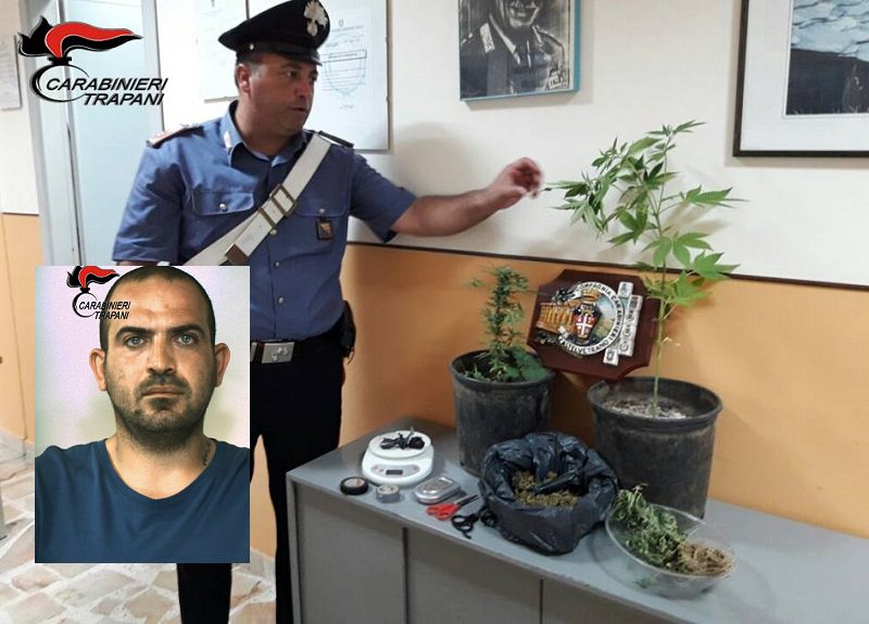 Marijuana, cannabis, bilancini e materiale vario: arrestato imprenditore 30enne