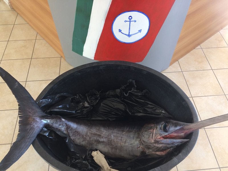 Prodotti ittici, sequestri anche a Ortigia