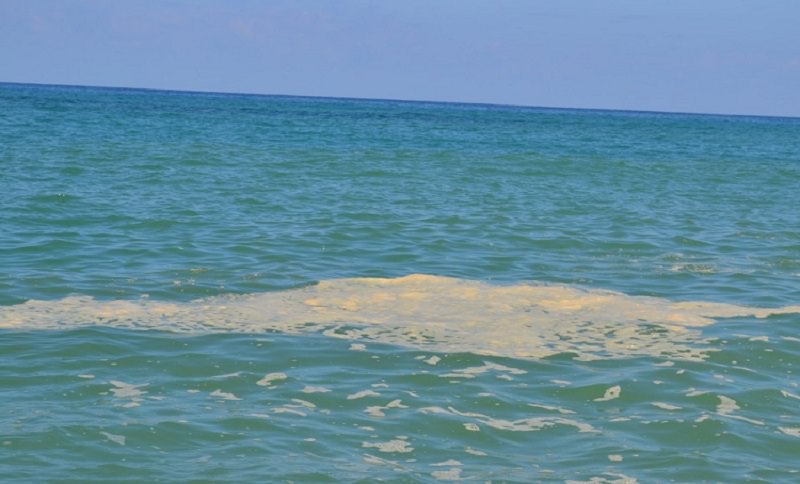 Balneazione vietata, a rischio la stagione estiva? Quant’è davvero inquinato il nostro mare