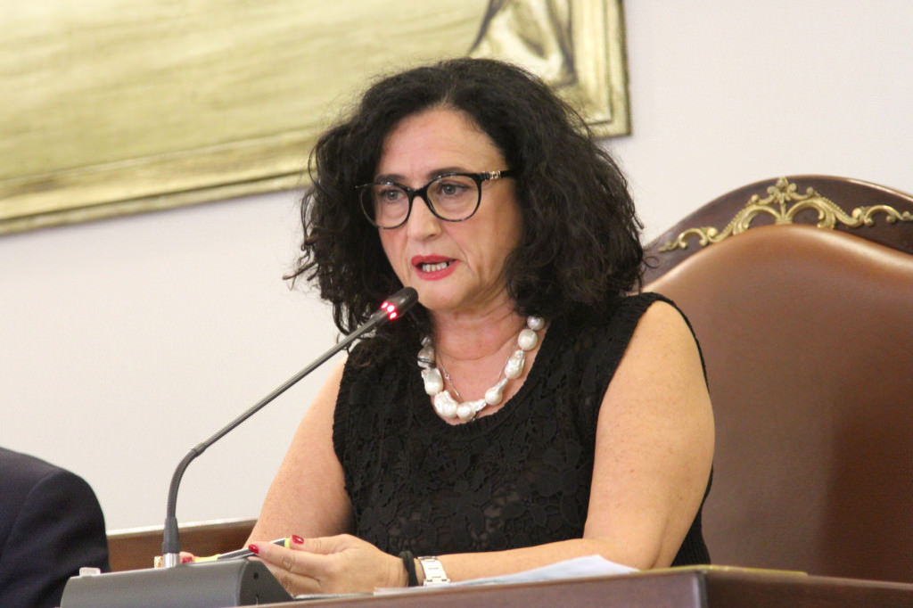 Catania, videoconferenza rappresentanti Partito Democratico. Saverino: “Valorizzare le infrastrutture del sud”