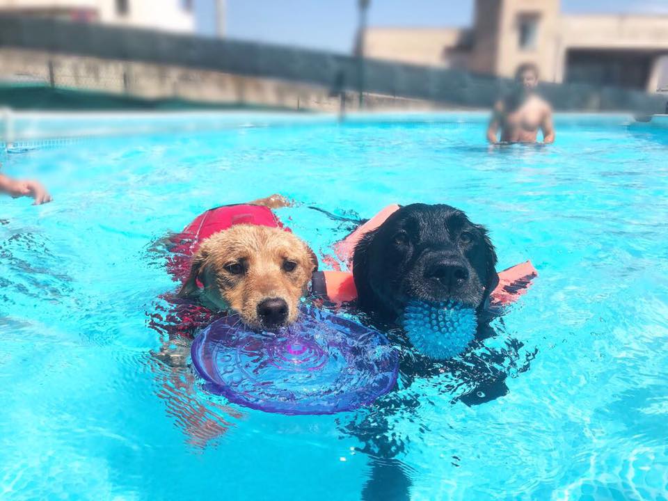 Palermo, a villa Pantelleria pet therapy per bambini autistici