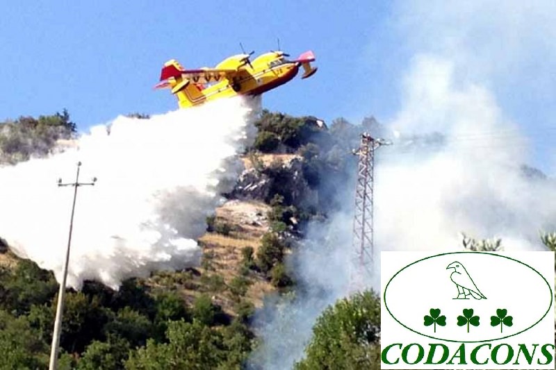 Sicilia in fiamme: Codacons presenta esposto contro la Regione