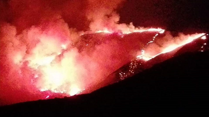 Ecomafia e piromani: più di 25mila ettari in fiamme, la Sicilia è la “regina degli incendi”