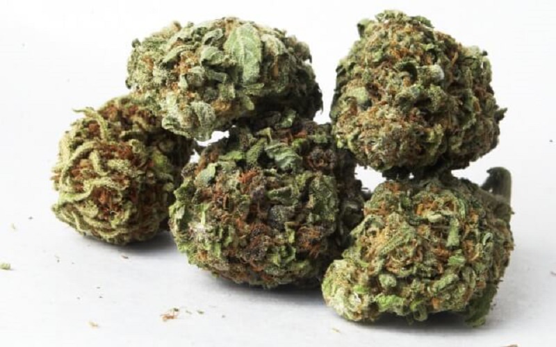 Hashish e marijuana in casa di un 18enne: sequestrati 200 grammi di stupefacente e contanti
