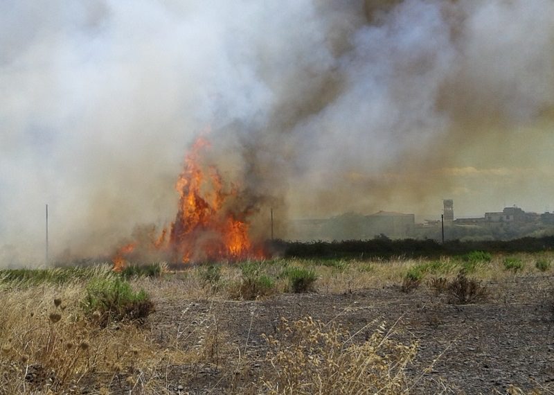 Emergenza roghi, commissione al Patrimonio traccia mappa delle zone più a rischio