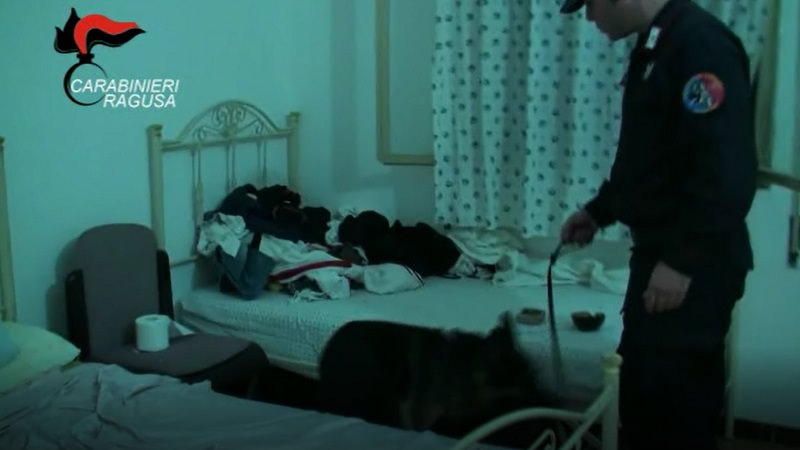 Sgominata banda della droga, spacciavano marijuana e hashish: tre arresti. NOMI, FOTO e VIDEO