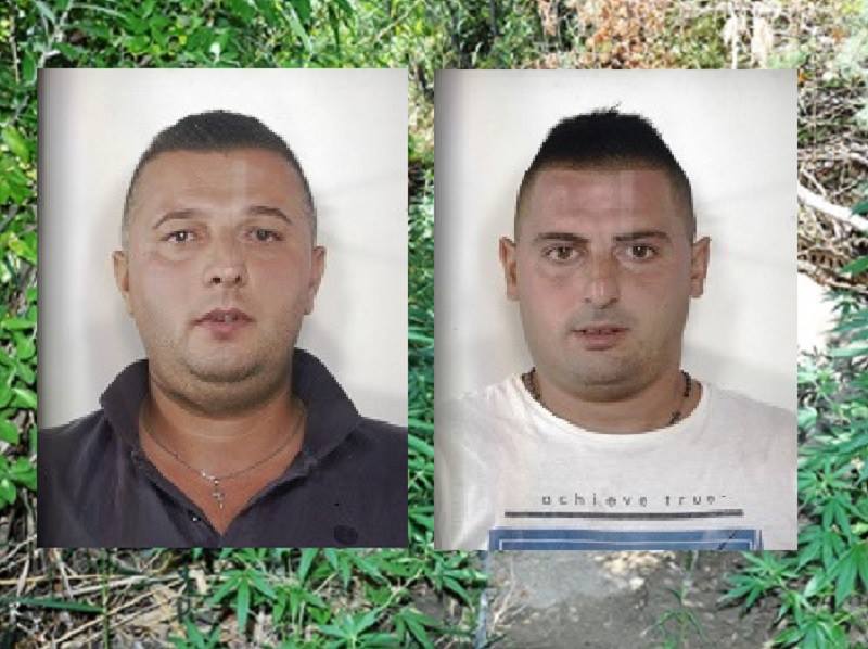 Sfruttavano l’acqua del Simeto per irrigare 69 piante di marijuana: 2 arresti