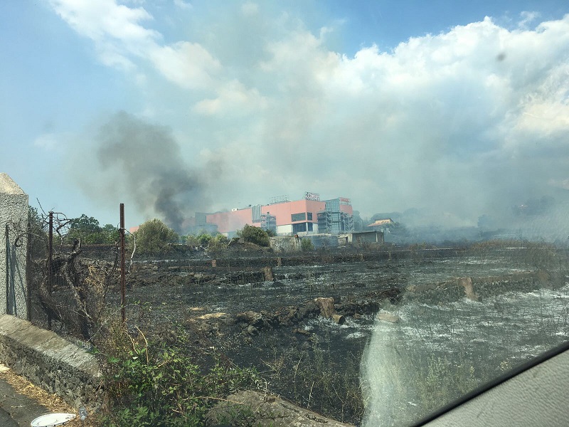 Incendio vicino a “Le Ginestre”: sul posto i vigili del fuoco. VIDEO