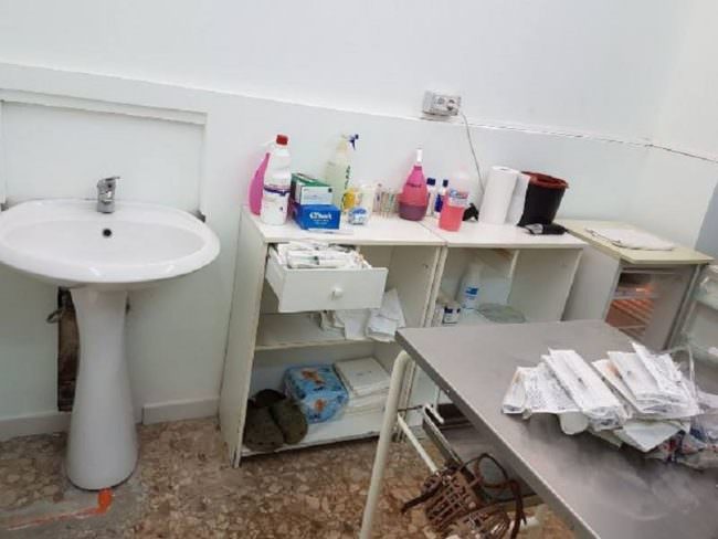 Sequestrata una clinica veterinaria abusiva: trovati farmaci scaduti e lavoratori in nero