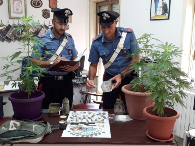 Marijuana, bilancini, piantine e non solo: kit per droga in casa, arrestato il “perfetto spacciatore”