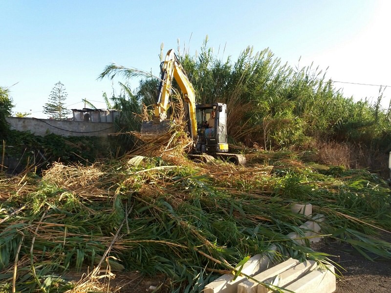 Carcasse di animali e sterpaglie bloccano flusso acque bianche di Pachino: avviati i lavori di pulitura Carcasse di animali e sterpaglie bloccano flusso acque bianche di Pachino: avviati i lavori di pulitura