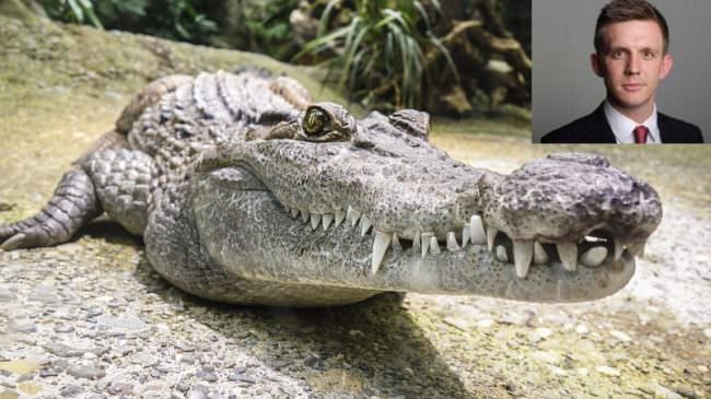 Si lava le mani nel fiume, ma viene sbranato da un coccodrillo: morto giornalista 24enne