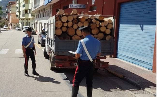 Mercato nero di legname: arrestato forestale 52enne, trovati in casa oltre 10 quintali di legna di provenienza illecita