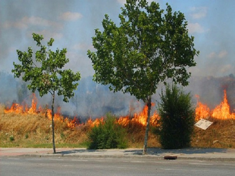 Appicca il fuoco scatenando un incendio che divora oltre 400 mq di vegetazione: arrestato 72enne