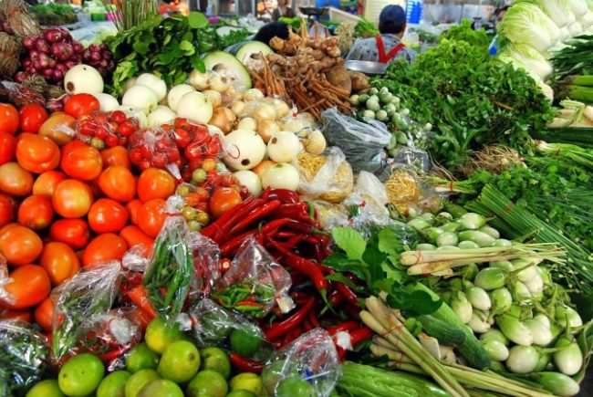 Alimentazione vegetale fin dalla nascita: è possibile? Il parere dell’esperto